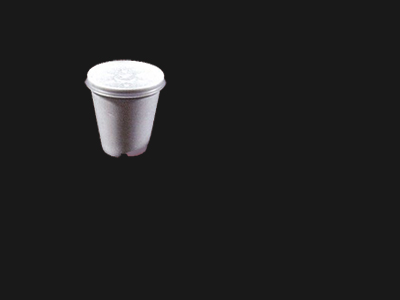 Foam Cup and Lid