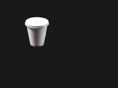 Foam Cup and Lid