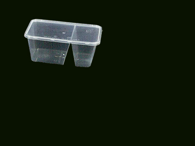 Container