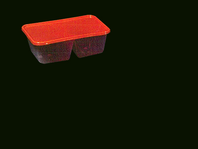 Container