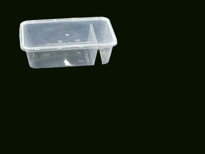 Container