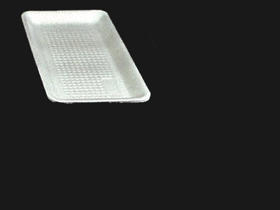 Food Tray