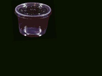 2 Compartment Container