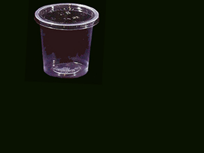 2 Compartment Container